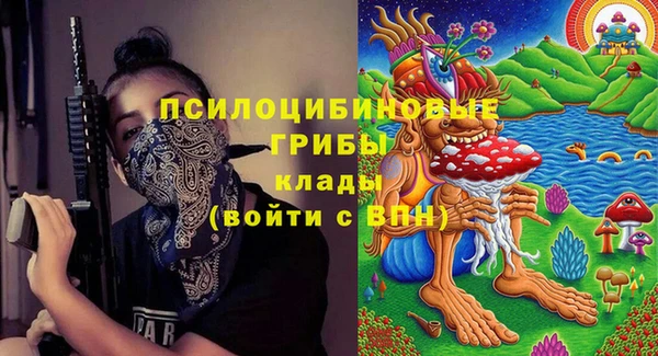 a pvp Абаза