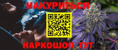 крисы Шебекино