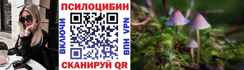 мориарти состав магазин наркотиков Тутаев Псилоцибиновые грибы мухоморы
